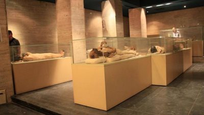 “إسماعيل”: نقل المومياوات بأعلى تكنولوجيا وصلت لها البشرية في الوقت الحالي (فيديو)