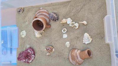 لتعريف الأطفال بالآثار الغارقة.. متحف المجوهرات الملكية يستضيف ورشة عمل بعنوان “بحار”