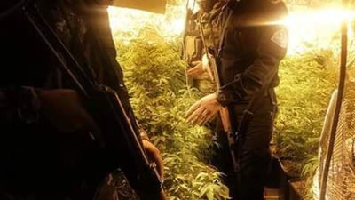 على طريقة فيلم الكيف.. مداهمة فيلا تُستخدم لتصنيع المواد المخدرة بمنشأة القناطر