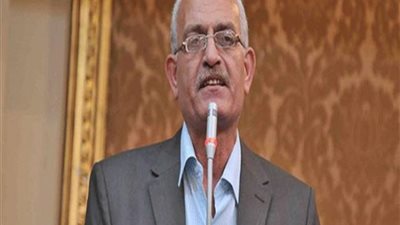 عاطف مغاوري: قانون المحليات على رأس أولويات مجلس النواب المقبل