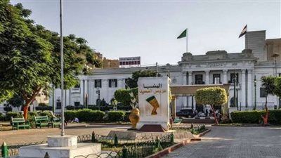 قطع التيار الكهربي عن مدينة مغاغة بالمنيا لأعمال الصيانة