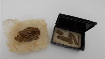 مؤرخ مصريات يكشف لـ