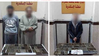 ضبط 80 طربة حشيش بحوزة 3 عاطلين بالإسكندرية