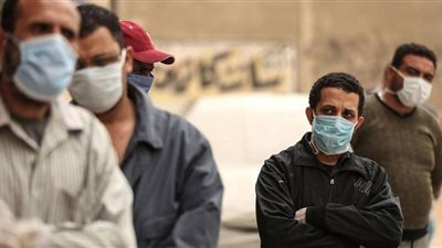 عضو لجنة الفيروسات: 