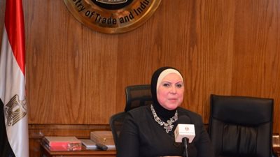 وزيرة الصناعة تصدر قرارًا بوقف استيراد السيراميك والبورسلين لمدة 3 أشهر