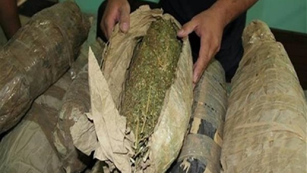 البانجو - أرشيفية