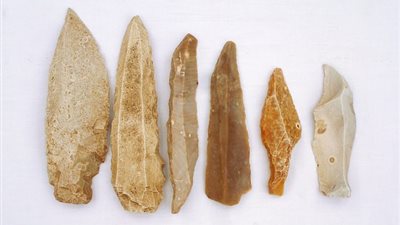 الحمض النووي للسكان الأوائل للبحر الكاريبي يكشف القضاء عليهم قبل وصول كولومبوس