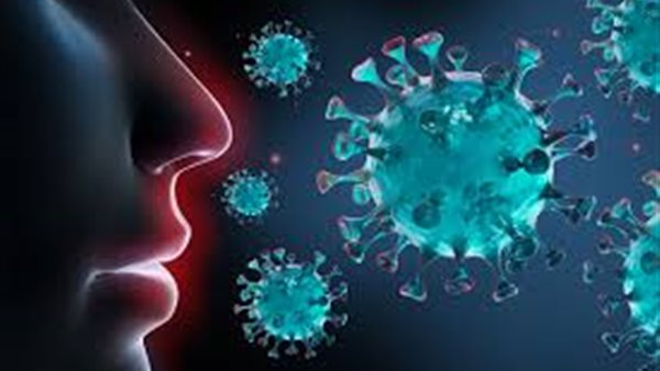 كورونا - أرشيفية