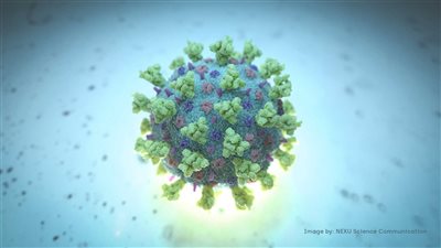 عضو لجنة الفيروسات: كورونا من الطبيعة وهو امتداد لسارس