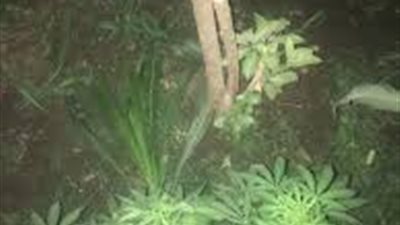 عامل يعثر  على 