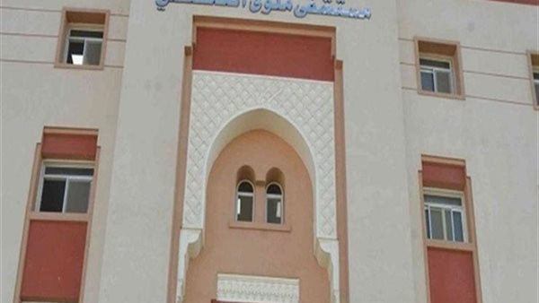 القاهرة 24