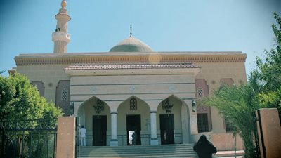 توقف عقد جلسات الصلح بساحة الشيخ الطيب لمواجهة كورونا