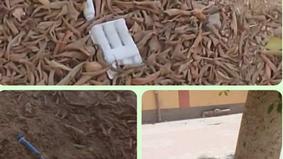 تهدد حياة المواطنين.. فيديو متداول لمخلفات سرنجات ومستلزمات طبية ملقاة داخل حوش مدرسة إعدادية في قنا