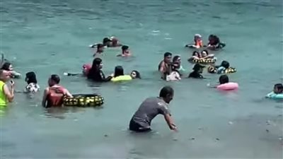 السياحة والمصايف بالإسكندرية تكشف حقيقة تداول صور لوجود مخلفات بأحد الشواطئ