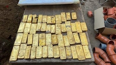 عملات وسبائك.. العثور على كنز مخفي من الذهب بقيمة 7.5 مليون جنيه إسترليني ببلجيكا