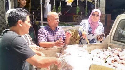 ضبط ربع طن دواجن محقونة ولحوم فاسدة خلال حملة مكبرة بالمنوفية