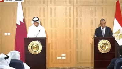وزير الخارجية: حريصون على تعميق العلاقات مع قطر.. وأمن الخليج جزء لا يتجزأ من الأمن القومي المصري