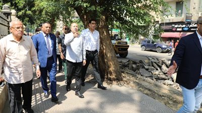 محافظ القاهرة يتفقد تطوير شارع السرايات بالوايلي.. رصف وتشجير ورفع الإشغالات