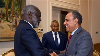 وزير الخارجية يبحث مع وزير المالية السوداني تعزيز التعاون الاقتصادي ودعم جهود إعادة الإعمار