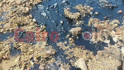 الأجهزة المعنية تسيطر على بقعة زيتية برأس بدران بأبو رديس | صور