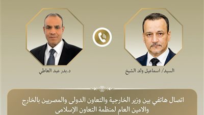 عبد العاطي يهنئ أمين عام منظمة التعاون الإسلامي الجديد بمنصبه: نثق بقدرتكم على خدمة مصالح الدول الأعضاء