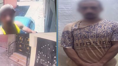 القبض على عامل بتهمة التعدي على جارته وإحداث تلفيات بسيارتها وسرقة كاميرات المراقبة بالشرقية 