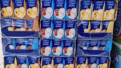 ضبط لحوم وكبدة منتهية الصلاحية و540 علبة جبنة مجهولة المصدر بسوهاج