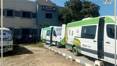تقديم 3179 خدمة طبية ضمن قافلة مجانية بقرية علي حمودة في بني سويف
