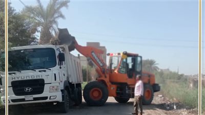 لإعادة تدويرها.. توريد 100 طن مخلفات إلى مصانع السماد العضوي في بني سويف