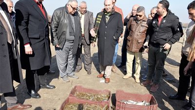 مميش: مشروع الاستزراع السمكي أنتج 351 طن بعائدات 40.8 مليون جنيه