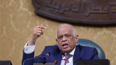 عبد العال يتفق مع وفد الشيوخ الفرنسي تعزيز العلاقات البرلمانية بين البلدين