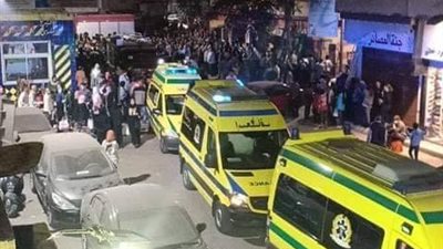 تفاصيل وفاة سائحة ألمانية وإصابة آخرين فى الأقصر (فيديو وصور)