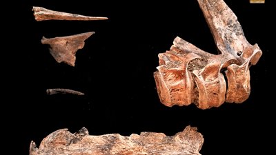 كشف أثري جديد بسيناء.. ورشة لإصلاح المراكب والسفن تعود للعصر البطلمي والروماني