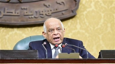 رئيس مجلس النواب يبدأ التصويت بالاسم على مبدأ تعديل الدستور