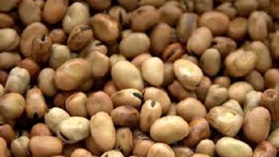 وزير التموين: سعر الفول المستورد 19.80 جنيه للمستهلك