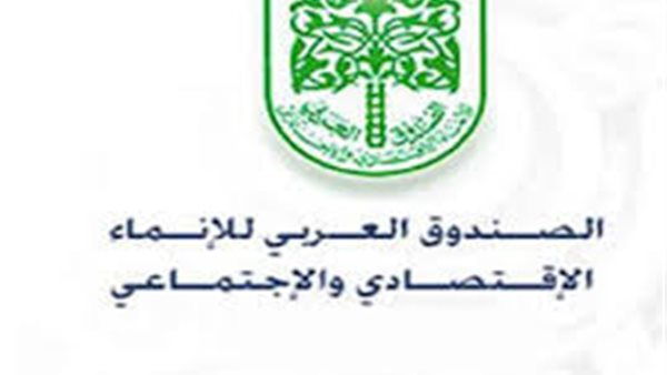 القاهرة 24