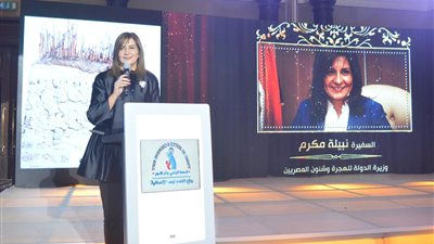 “الهجرة”: نظمنا 15 ملتقى لـ1130 مصريا مقيمين بـ17 دولة حول العالم