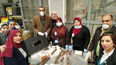 “الآثار”: المومياوات المضبوطة قبل تهريبها فى مطار القاهرة “أثرية”