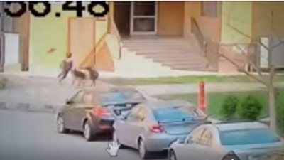 رئيس قطاع الأمن: مصادرة أى كلب بدون كمامة فى الرحاب ومدينتى وتحرير محضر لصاحبه (صور)