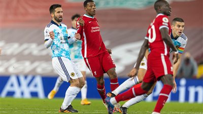 مفاجأة.. وولفرهامبتون يرغب في التعاقد مع فينالدوم