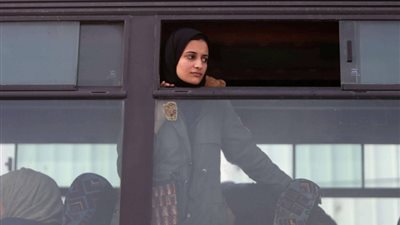 اختفاء أم هروب؟.. فتيات عانين من 