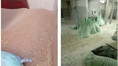 ضبط مدير مطحن للتلاعب فى كميات القمح المدعم والاستيلاء على الدقيق بالقاهرة