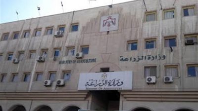 عاجل.. الزراعة تؤكد لـ