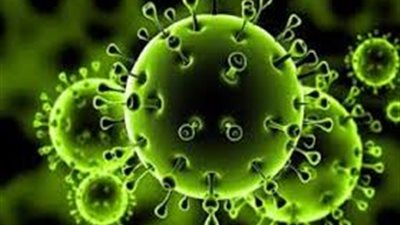 بينهم طفلة.. كفر الشيخ تُسجل 4 حالات إصابة جديدة بفيروس كورونا