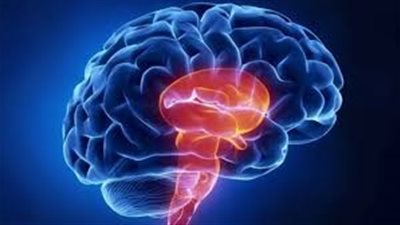 كيف يتعافى العقل بعد عام من الوباء العالمي؟