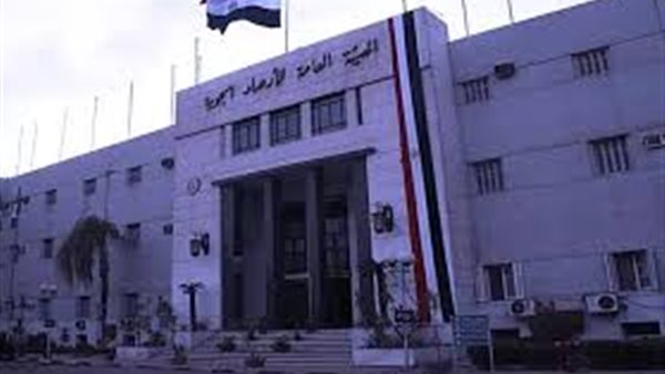 القاهرة 24