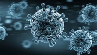 6 مستشفيات بالقليوبية تسجل 