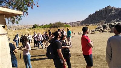 بعد قرار خفض سعر التذاكر 50%.. المصريون يتوافدون على منطقة آثار جزيرة سهيل بأسوان