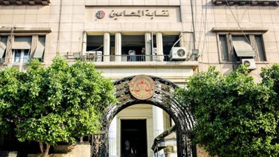 مرشحان على مقعد نقيب محاميي شمال البحيرة وتنافس 5 على مقعد الشباب (مستند)