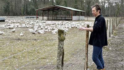 فرنسا تعلن اكتشاف العشرات من بؤر إنفلونزا الطيور